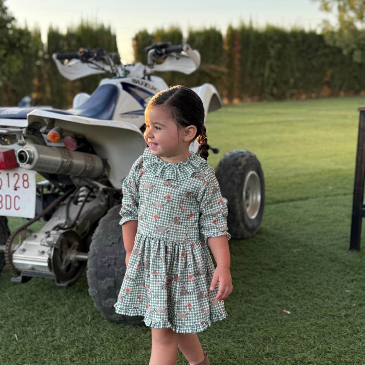 Ver Vestido niña vichy mapache